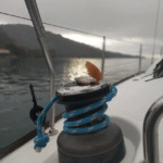 excursionesysalidas (7)